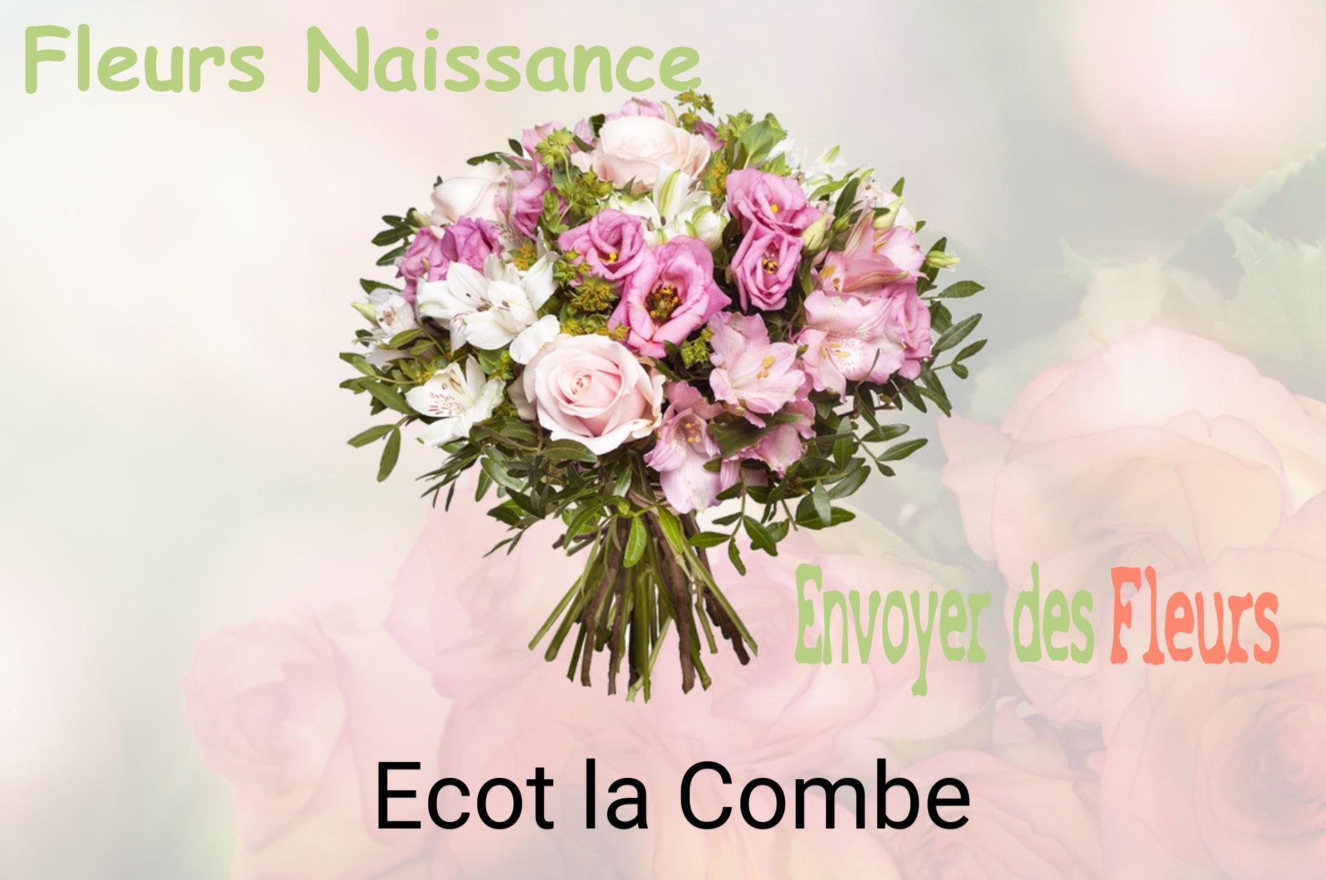 Bouquet de fleurs de naissance livré à Ecot-la-Combe